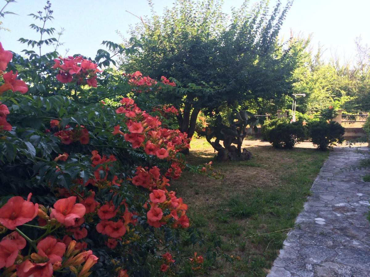 Villa-Toula Roda  Esterno foto